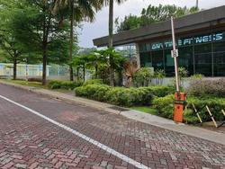 Blk 543 Jelapang Road (Bukit Panjang), HDB Executive #205082361